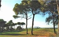 Bliss Hotel Begur